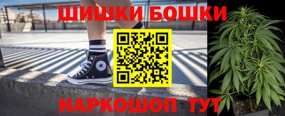 прущие грибы Моздок