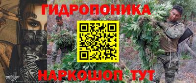 прущие грибы Моздок