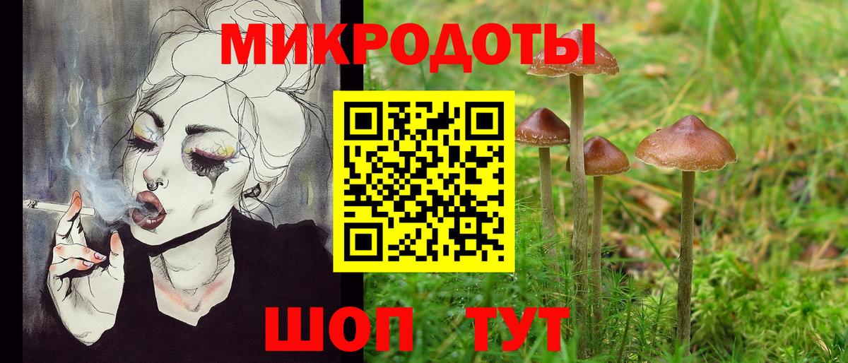где найти наркотики  Вход с VPN  Черкесск  Галлюциногенные грибы MAGIC MUSHROOMS 